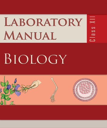 Textbook of Biology Lab Manual for Class XII( in English)